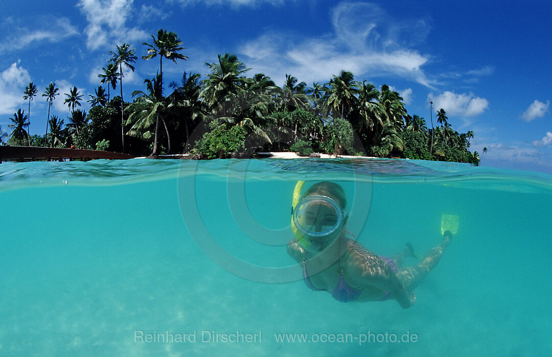 Schnorcheln vor Palmeninsel, Indischer Ozean, Meemu Atoll, Malediven