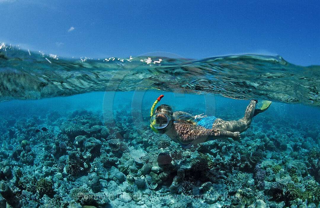 Skin Diver over Coral Reef