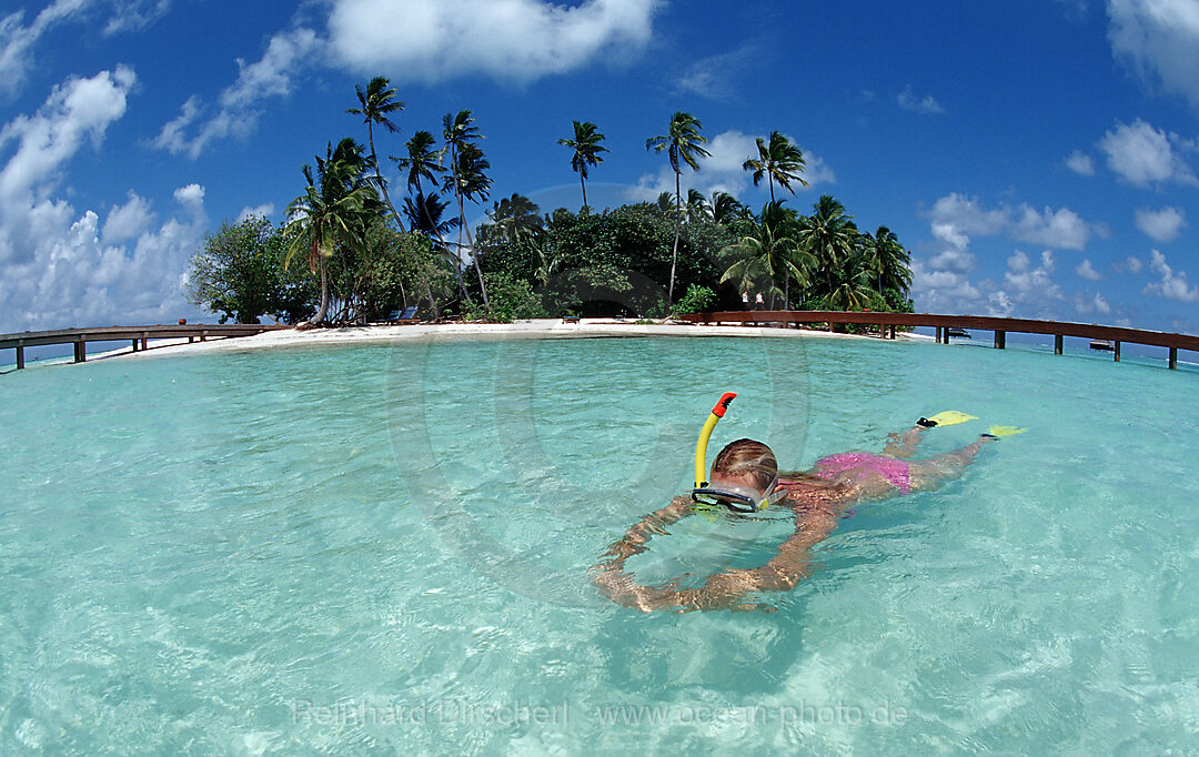 Schnorcheln vor Malediveninsel, Indischer Ozean, Medhufushi, Meemu Atoll, Malediven