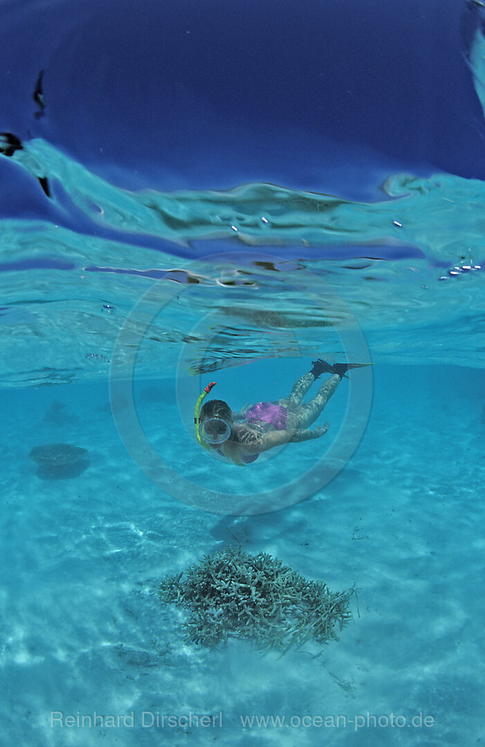 Schnorcheln in Lagune, Indischer Ozean, Nord-Male Atoll, Malediven