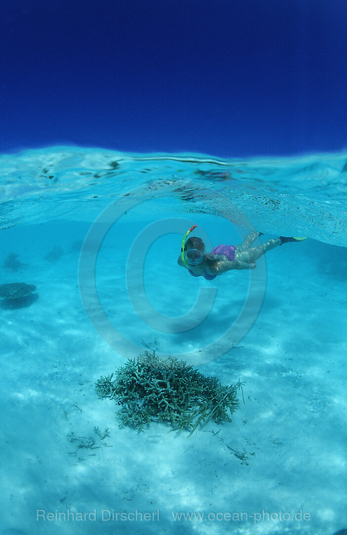 Schnorcheln in Lagune, Indischer Ozean, Nord-Male Atoll, Malediven