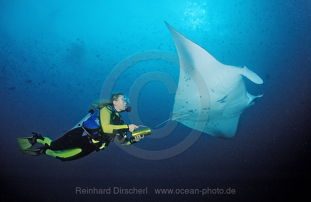 Manta and Diver