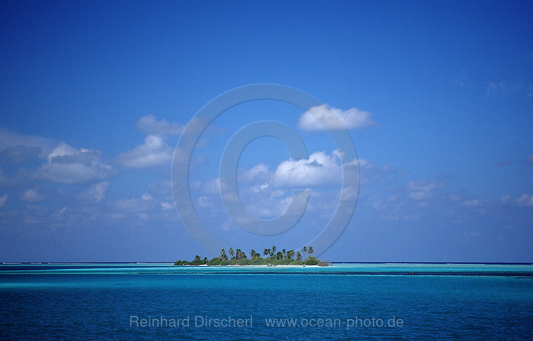 Palmy Island