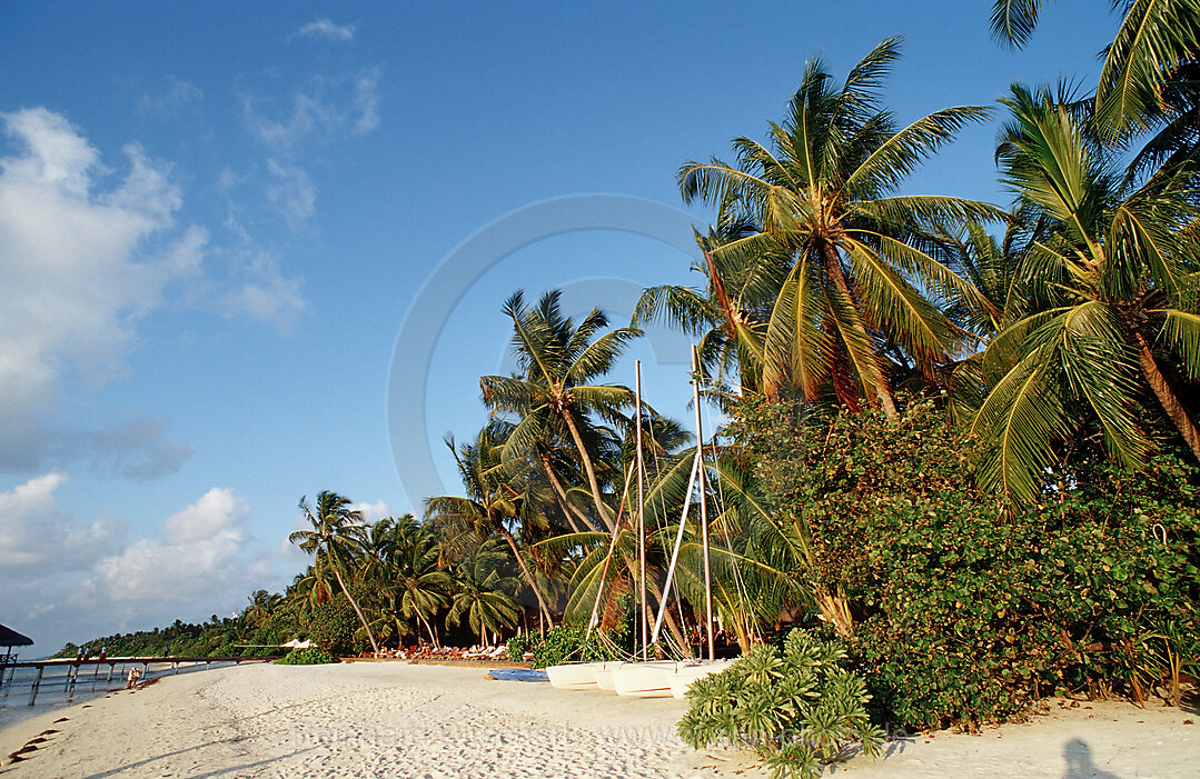 Catamaran at Beach