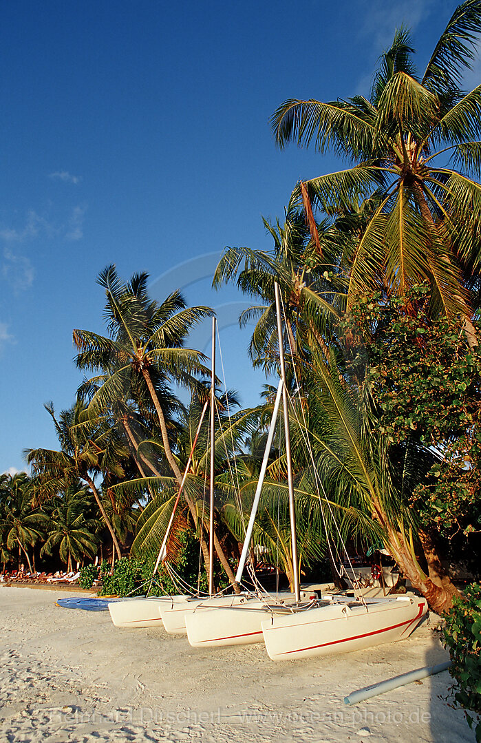 Katamarane am Palmenstrand, Indischer Ozean, Medhufushi, Meemu Atoll, Malediven