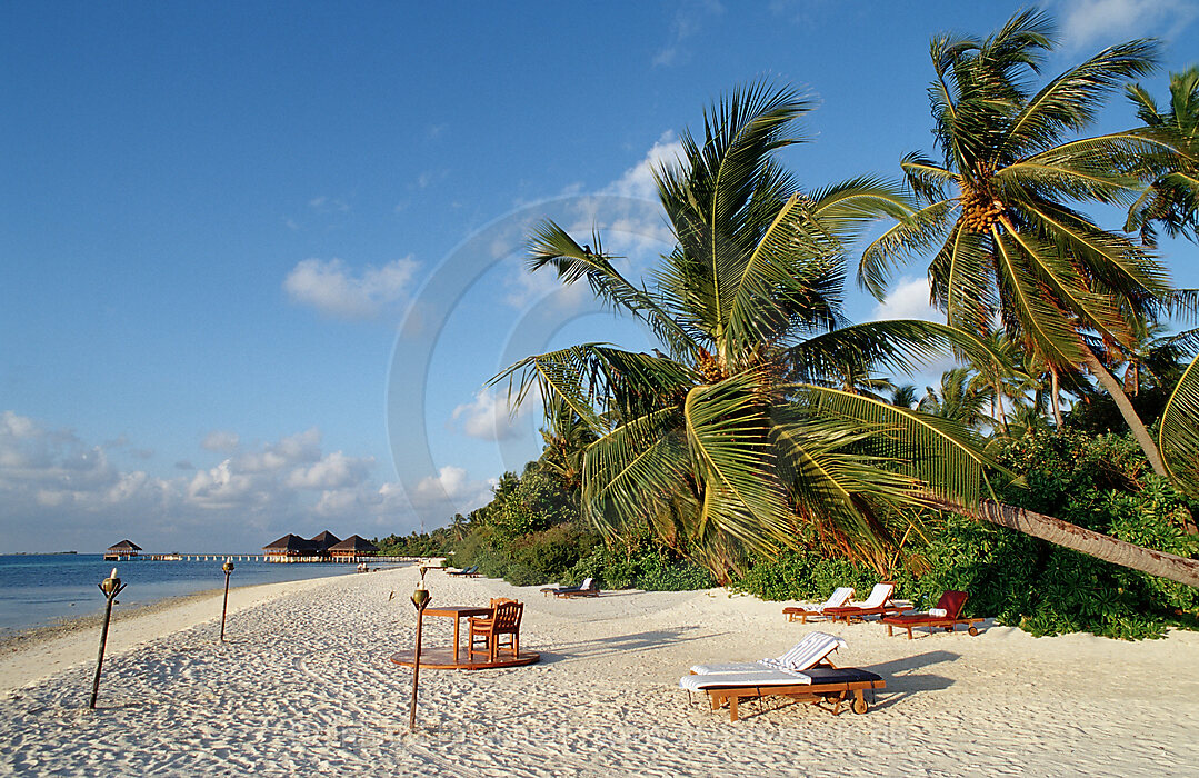 Maledivian Beach