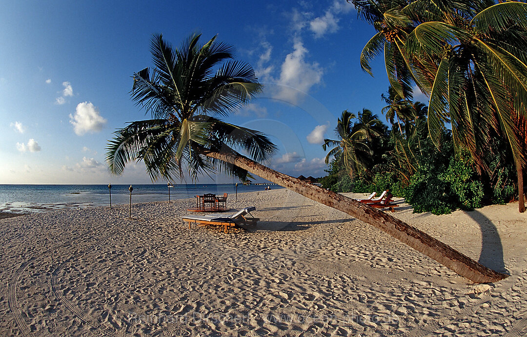 Maledivischer Strand, Indischer Ozean, Medhufushi, Meemu Atoll, Malediven