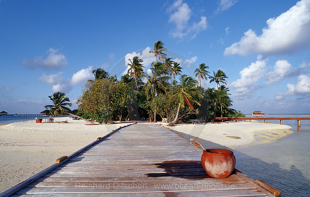 Maledivian Island