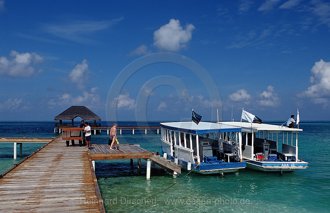 Diving-Dhonis at Jetty