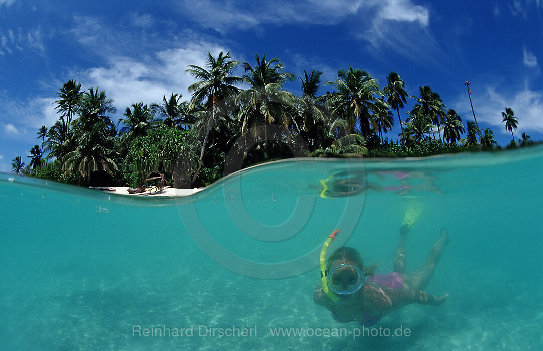 Schnorcheln vor Palmeninsel, Indischer Ozean, Medhufushi, Meemu Atoll, Malediven