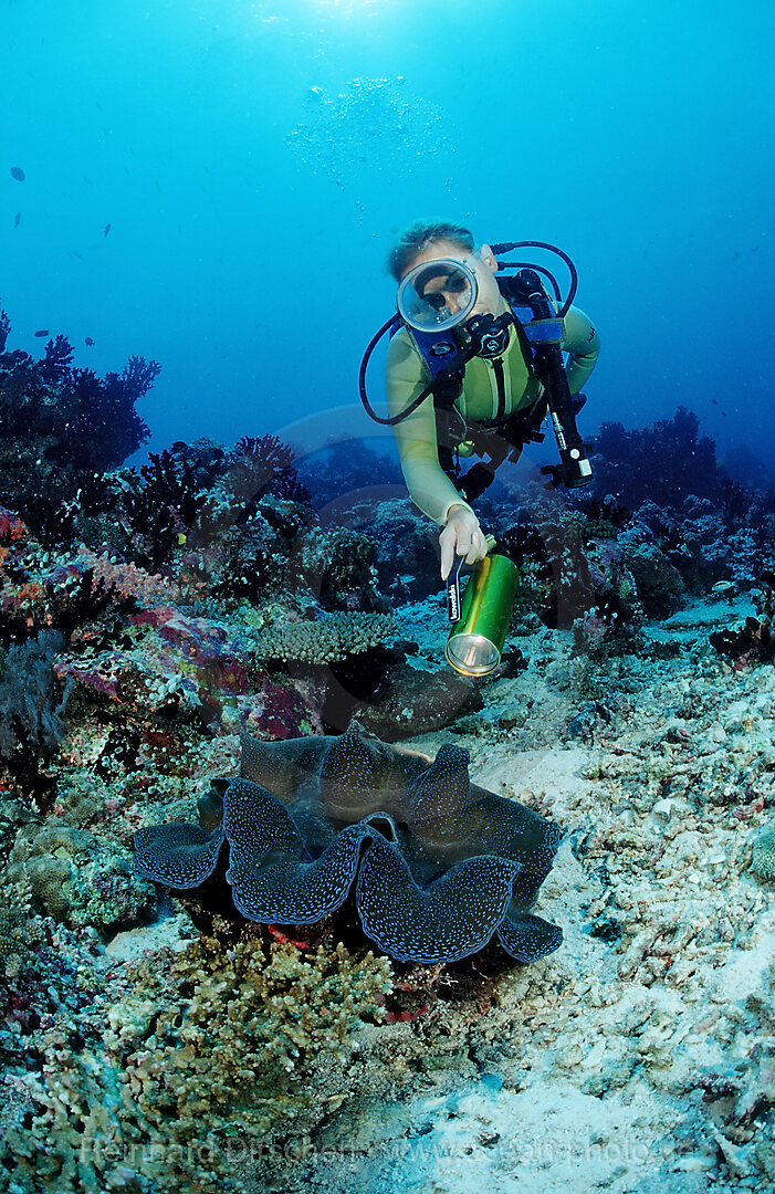 Diver and Giant Clam