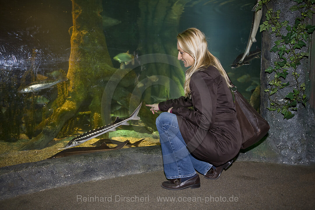 Sea Life Aquarium, Bayern, Muenchen, Deutschland