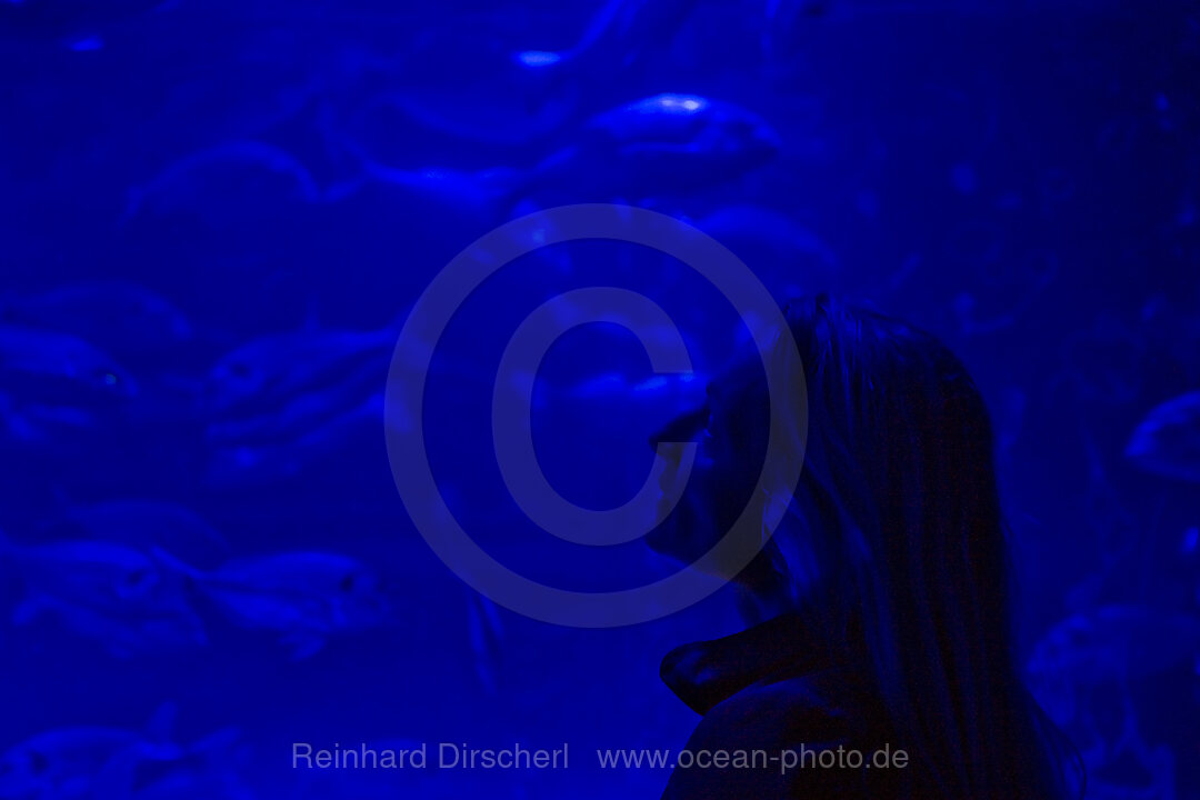 Sea Life Aquarium