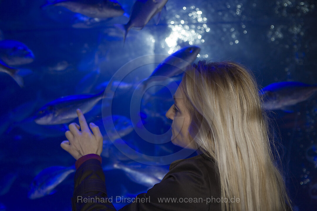 Sea Life Aquarium, Bayern, Muenchen, Deutschland