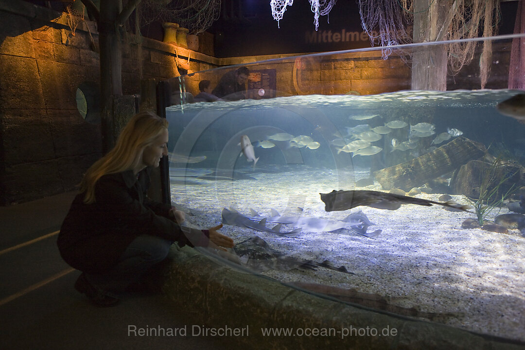 Sea Life Aquarium, Bayern, Muenchen, Deutschland