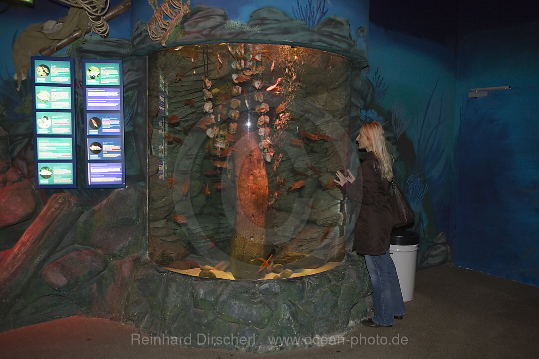 Sea Life Aquarium