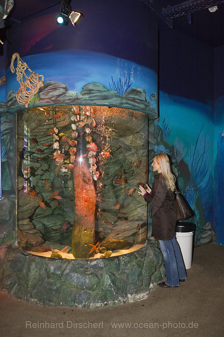 Sea Life Aquarium