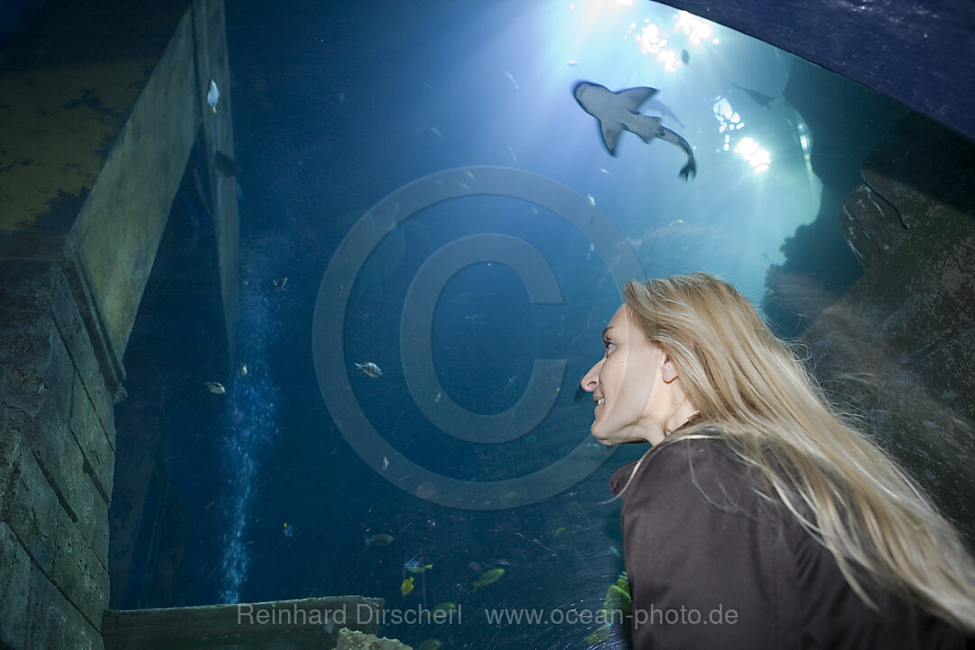 Sea Life Aquarium