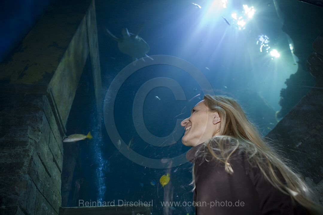 Sea Life Aquarium