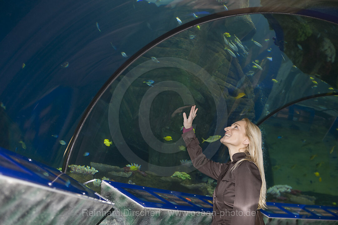Sea Life Aquarium