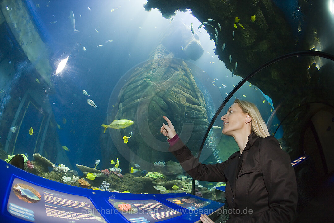 Sea Life Aquarium