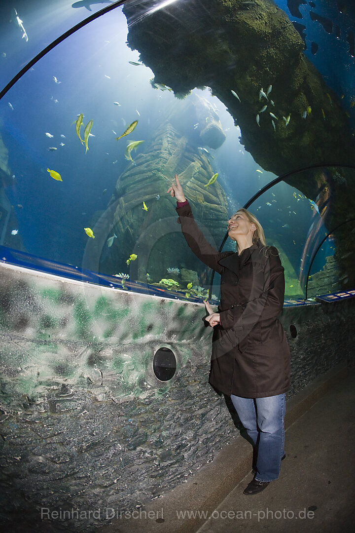 Sea Life Aquarium, Bayern, Muenchen, Deutschland