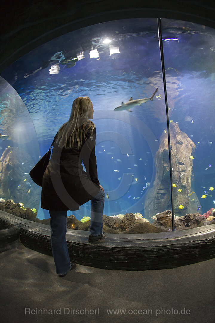 Sea Life Aquarium