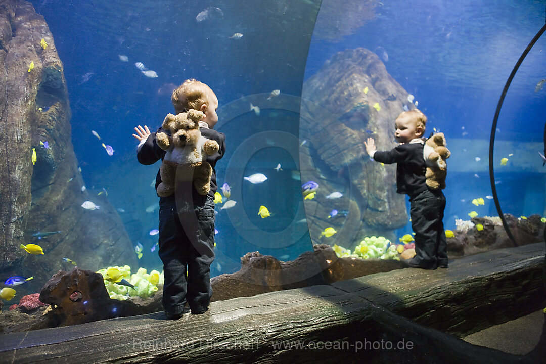 Sea Life Aquarium, Bayern, Muenchen, Deutschland