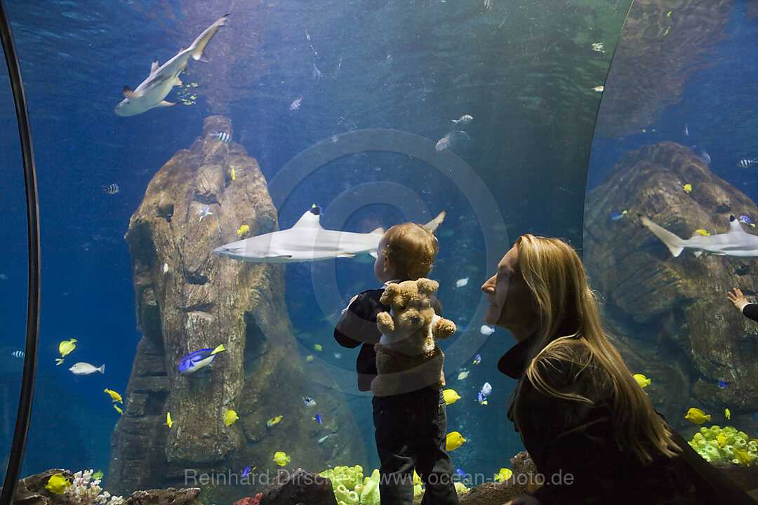 Sea Life Munich, Bavaria, Munich, Germany