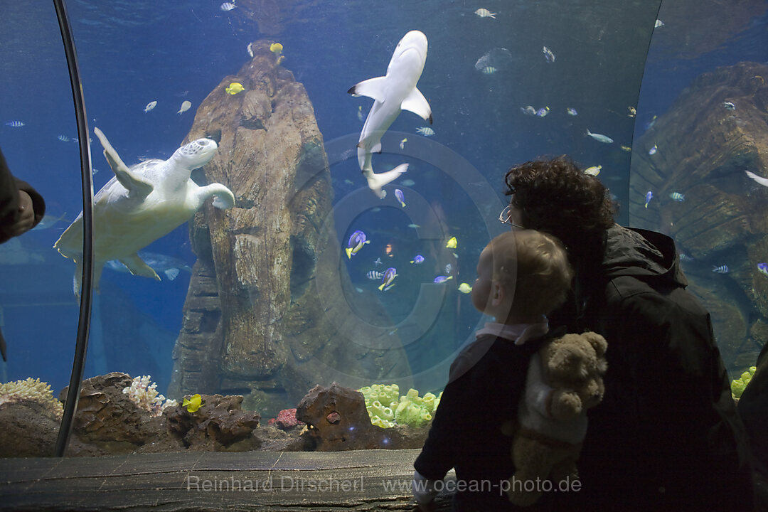 Sea Life Aquarium, Bayern, Muenchen, Deutschland