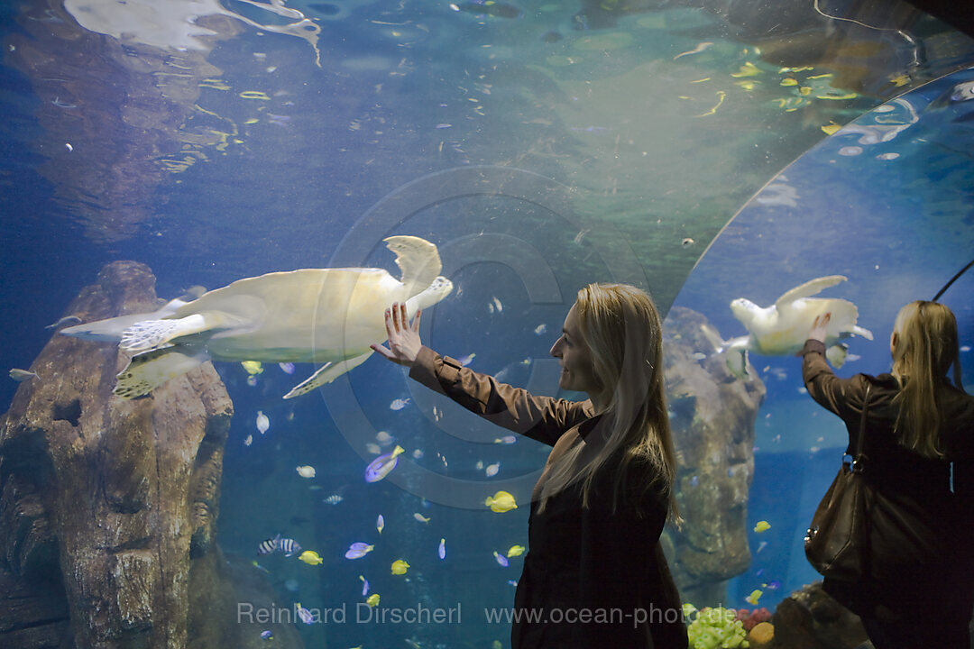 Sea Life Aquarium