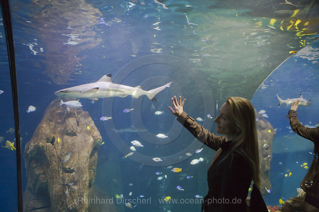 Sea Life Aquarium