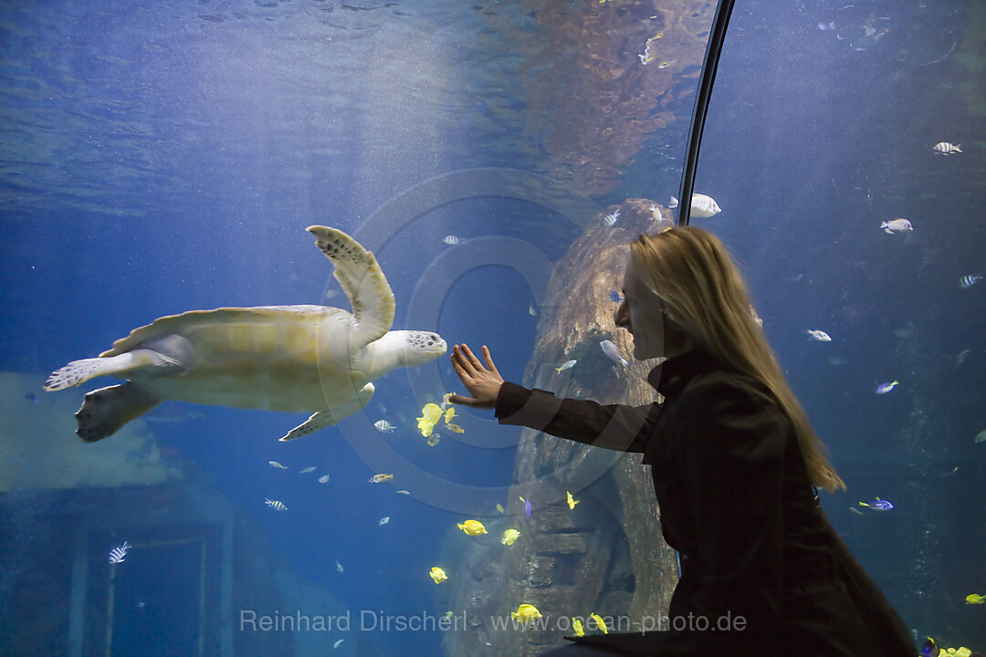 Sea Life Aquarium, Bayern, Muenchen, Deutschland