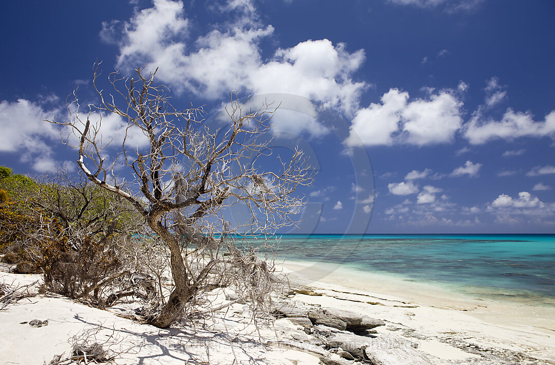 Strand und Lagune von Bikini, Bikini Atoll, Mikronesien, Pazifik, Marschallinseln