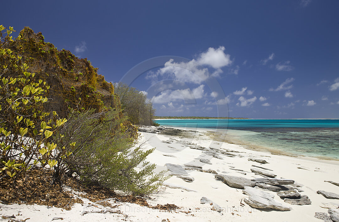 Beach and Lagoon of Bikini