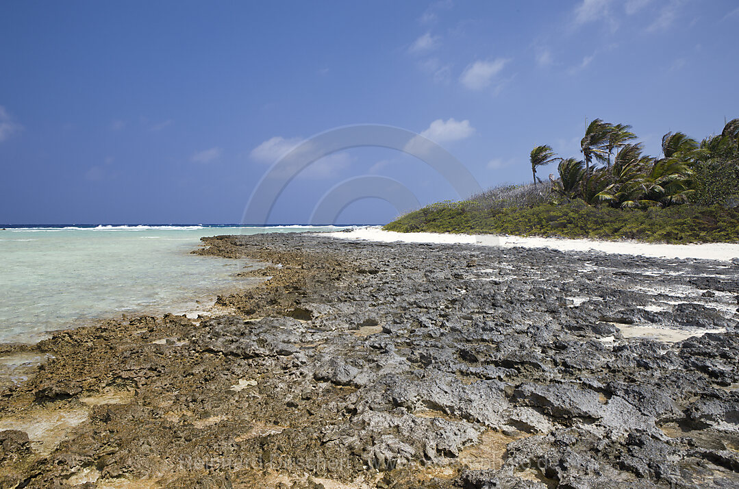 Korallenbaenke am Strand von Bikini, Bikini Atoll, Mikronesien, Pazifik, Marschallinseln