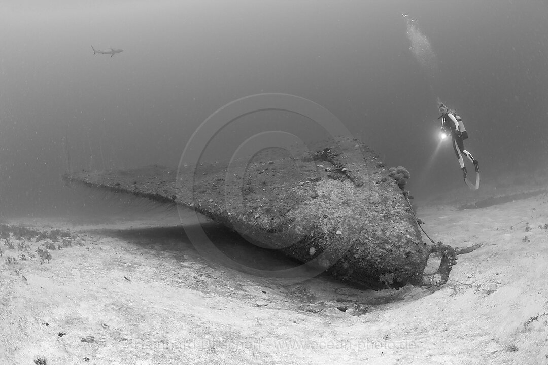 Diver at Bow of Destroyer USS Anderson