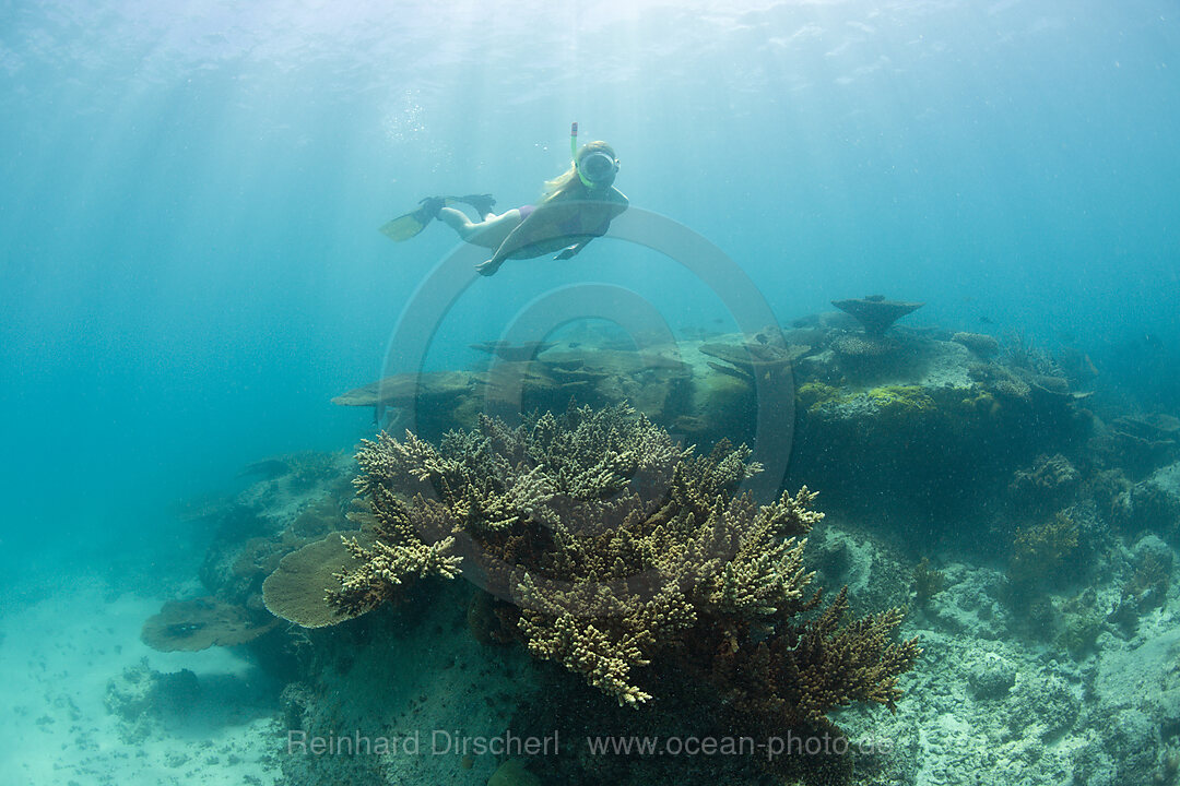 Schnorchlerin ueber Korallen in der Lagune von Bikini, Bikini Atoll, Mikronesien, Pazifik, Marschallinseln