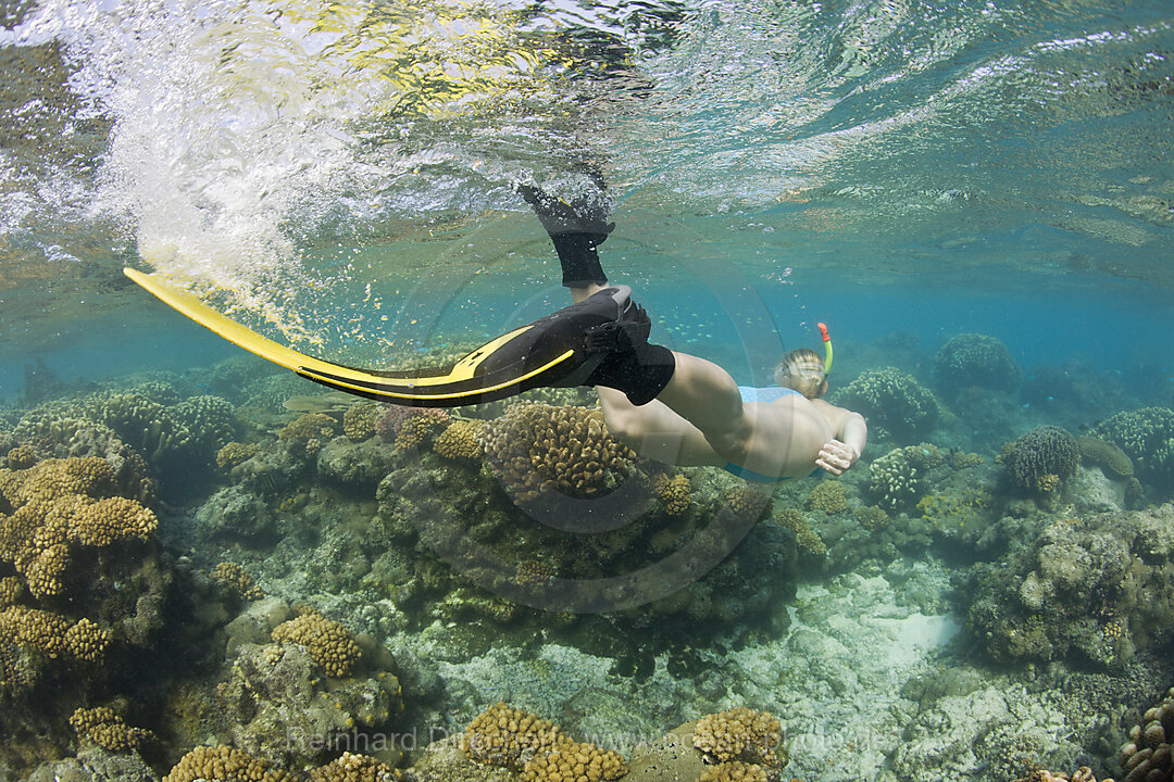 Snorkeling at Bikini Atoll, Bikini Atoll, Micronesia, Pacific Ocean, Marshall Islands