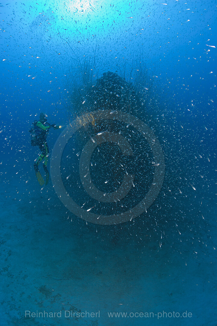 Taucher am Heck des U-Bootes USS Apogon, Bikini Atoll, Mikronesien, Pazifik, Marschallinseln