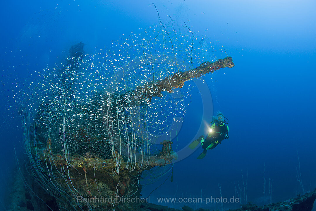 Diver and 5-inch Deck Gun of USS Apogon Submarine, Bikini Atoll, Micronesia, Pacific Ocean, Marshall Islands