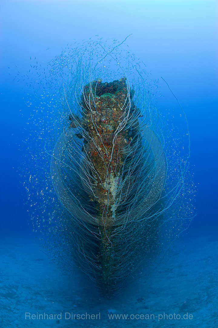 Bug des U-Bootes USS Apogon, Bikini Atoll, Mikronesien, Pazifik, Marschallinseln