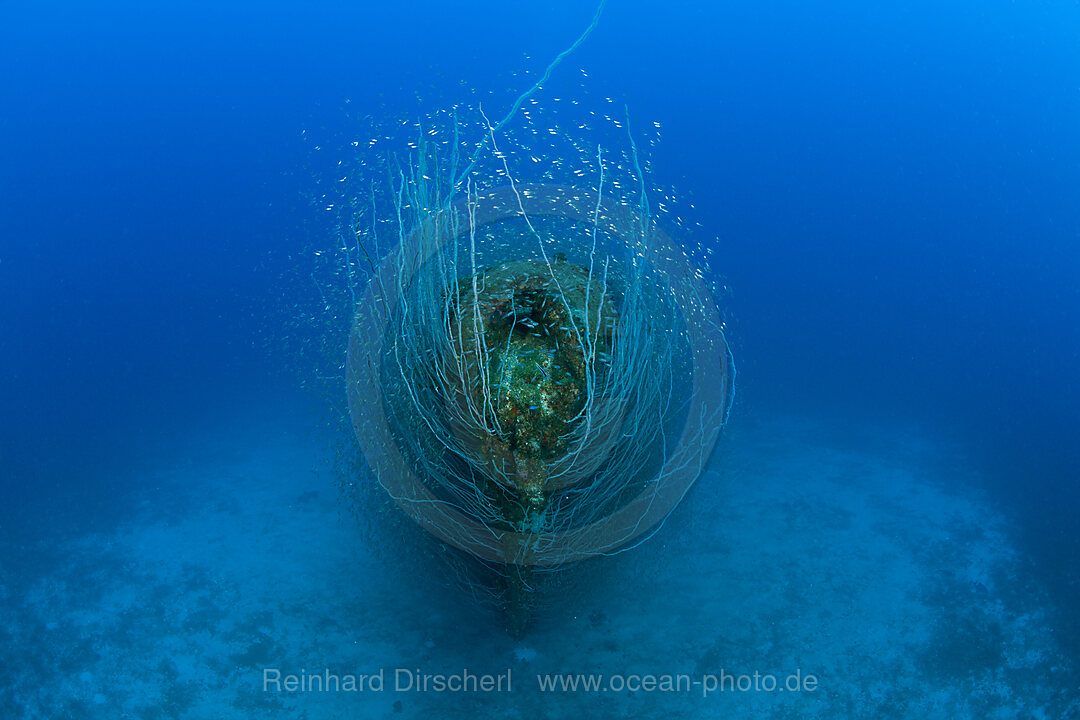 Bow of USS Apogon Submarine, Bikini Atoll, Micronesia, Pacific Ocean, Marshall Islands