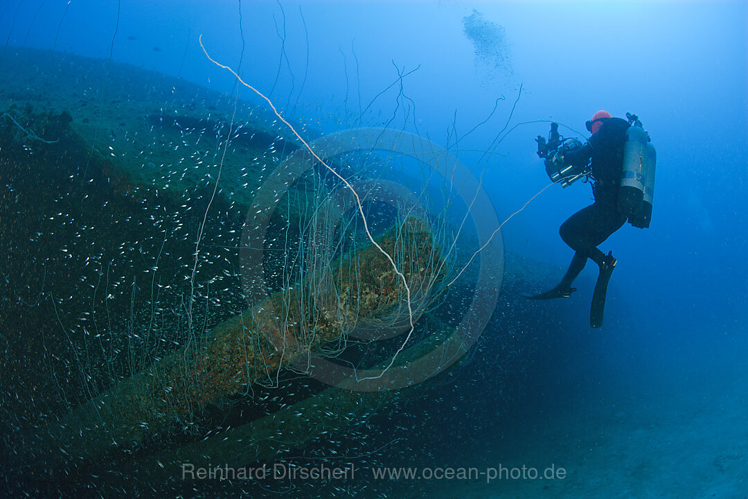 Diver at 12-inch Guns of USS Arkansas Battleship, Bikini Atoll, Micronesia, Pacific Ocean, Marshall Islands