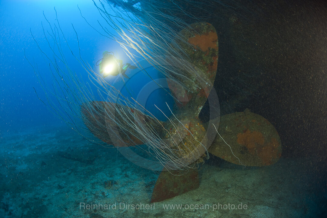 Taucher an Schiffschraube der USS Carlisle