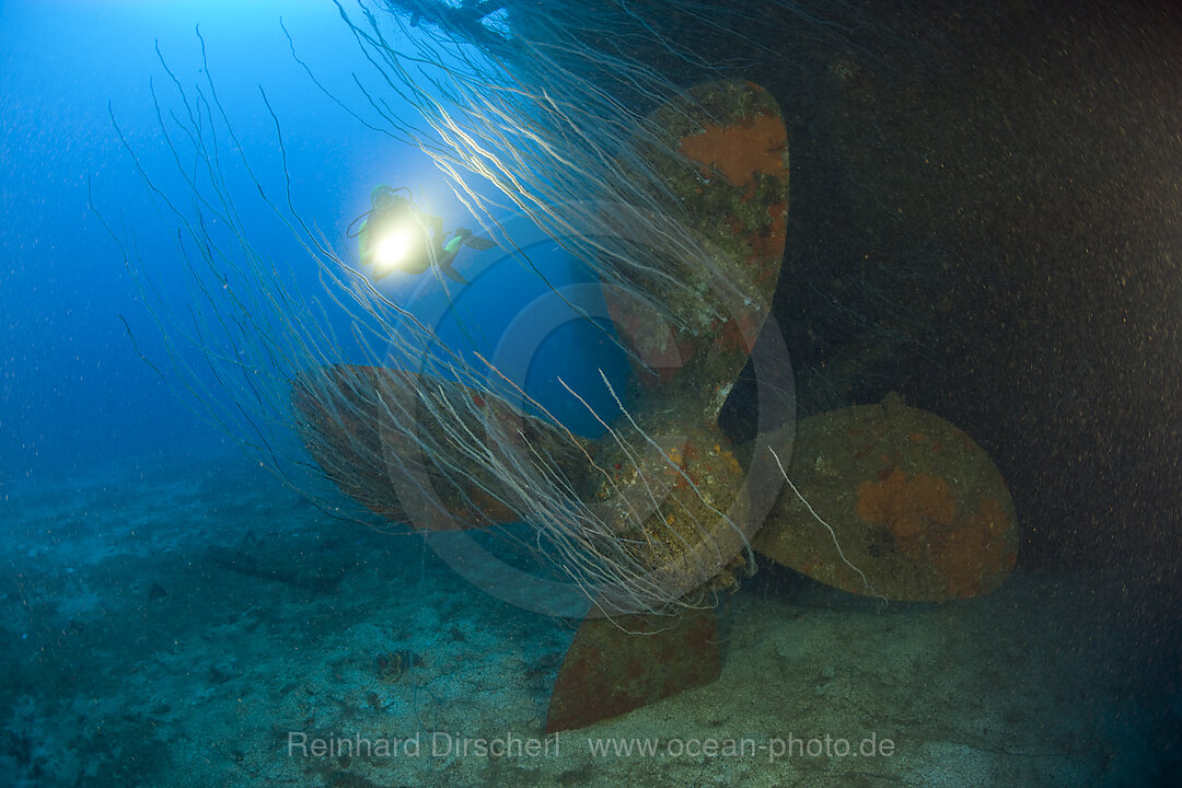 Diver at Propeller of USS Carlisle Attack Transporter, Bikini Atoll, Micronesia, Pacific Ocean, Marshall Islands