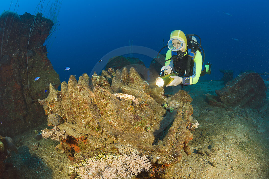 Taucher entdeckt scharfe Muniton auf der USS Carlisle, Bikini Atoll, Mikronesien, Pazifik, Marschallinseln