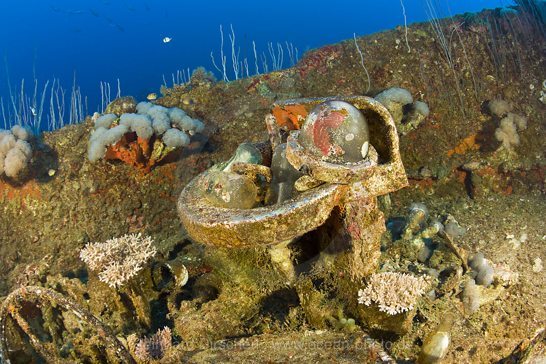 Artefakte am Wrack der USS Carlisle