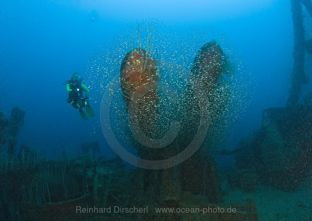 Diver and Torpedos of Destroyer USS Lamson