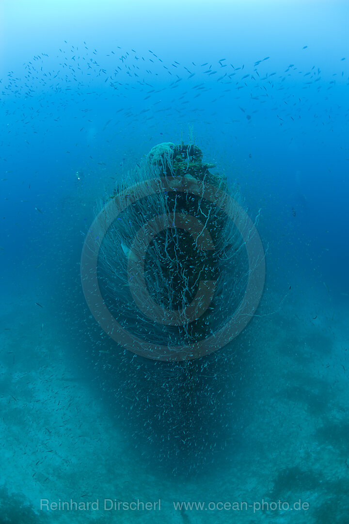 Bug des Zerstoerers USS Lamson
